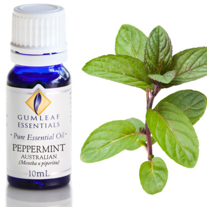 Peppermint essential oil