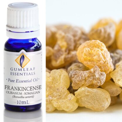 Frankincense Olibanum oil with frankincense resin