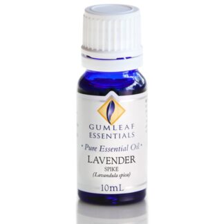 Spike Lavender essential oil