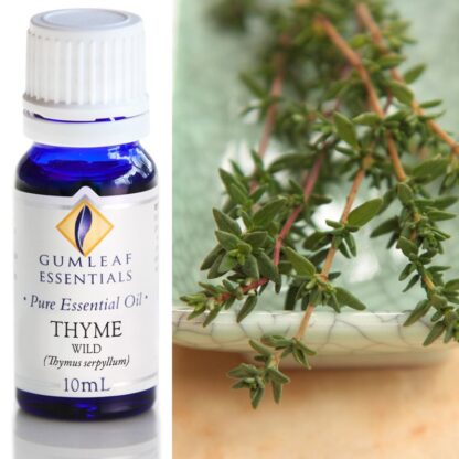 Thyme bottle with plant