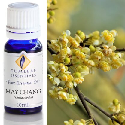 May Chang essential oil bottle with picture